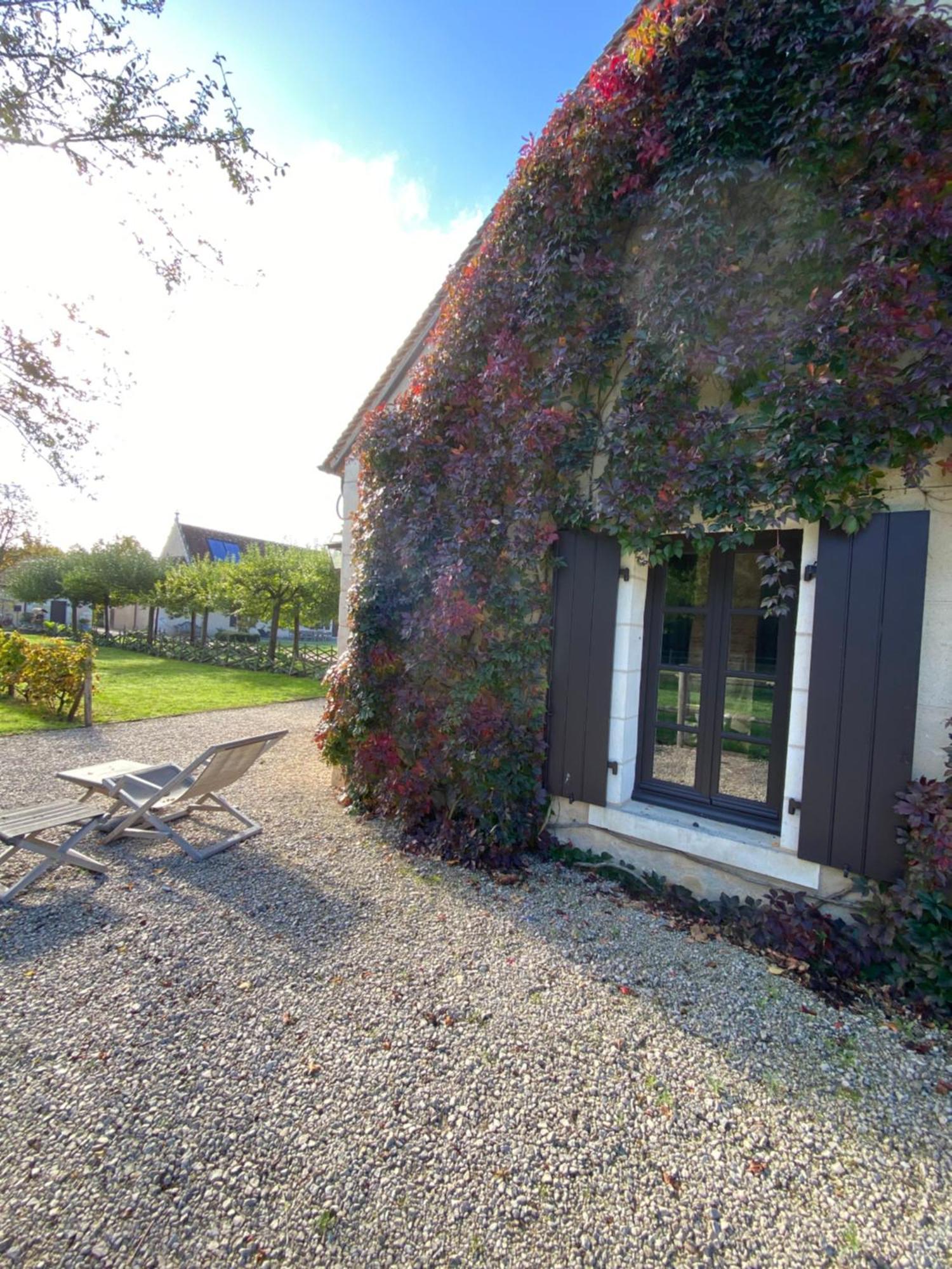 Вилла Domaine De Poulaines Pres Valencay Val De Loire Berry Экстерьер фото